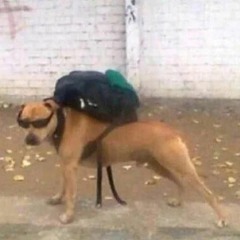 █░░░█ ▀█▀ █▀
█░█░█ ░█░ █▀
░▀░▀░ ░▀░ ▀░