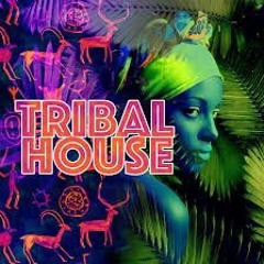 MIAMI 2 IBIZA (Afro Tribal House Sessions)