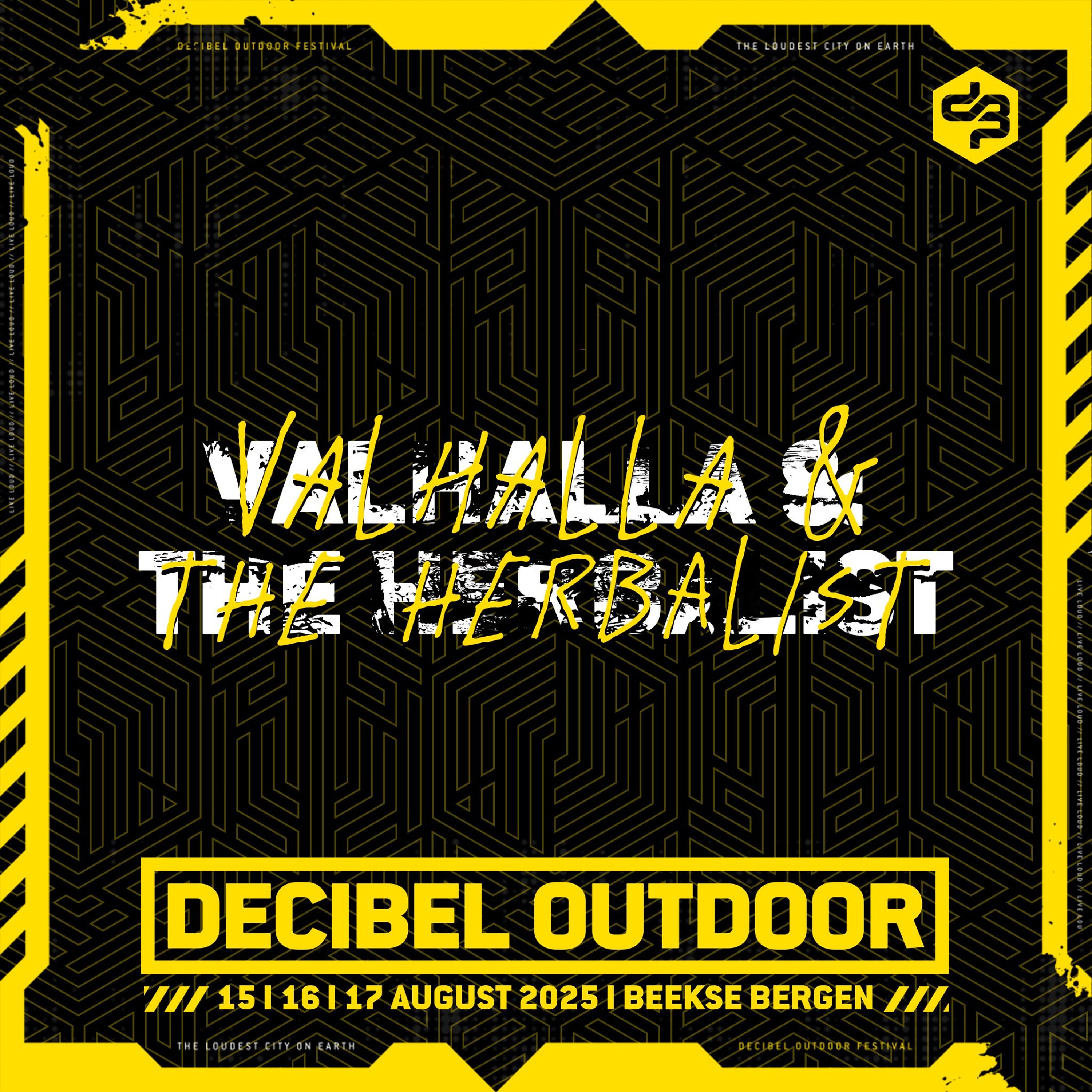 Valhalla & The Herbalist | Decibel outdoor 2025 | Sunday | Future District episode artwork