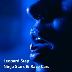 Leopard Step - Ninja Stars And Race Cars