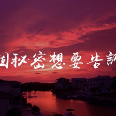 夏子皓,吴海啸 - 有个秘密想要告诉你「baby你完美得太不公平，真的只看了一眼就動心」【動態歌詞/pīn yīn gē cí】