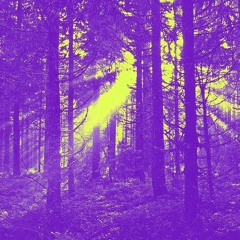 Jardin du Desir [Space Jungle Mix]