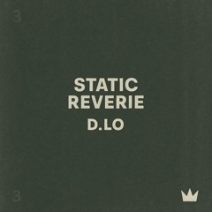 Static Reverie