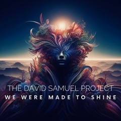 We Were Made To Shine - David Samuel