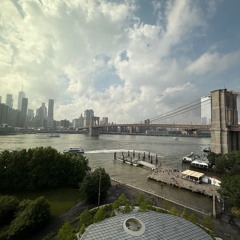 VIZDOM @ 1 Hotel Brooklyn Bridge