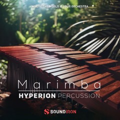 Lucas Schacht - Blackspore Forest Theme (Library Only) - Soundiron Hyperion Percussion Marimba