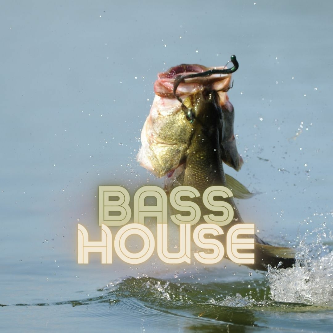 Stream Audax | Listen to Bass House playlist online for free on SoundCloud