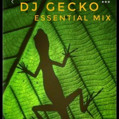 Dj Gecko ESSENTIAL MIX [06 - 04 - 2021]