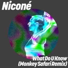 What Do U Know (Monkey Safari Remix)