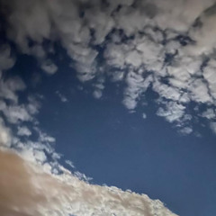 Webstuhl Sinfonie (feat. Peggy)