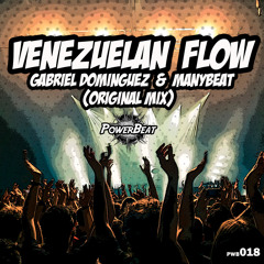 Venezuelan Flow (Original Mix)
