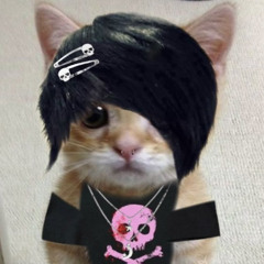 openmyeyes* <3 + @onelites