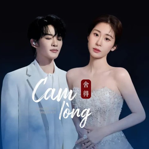 [VIETSUB｜PINYIN] Cam Lòng - Trương Bích Thần ft. Vương Hách Dã | 舍得 - 张碧晨 王赫野
