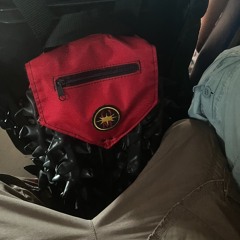 2025 december clips w  siktir