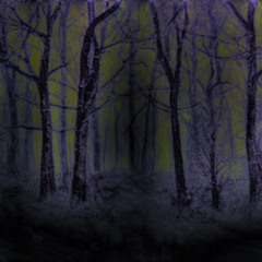 Beethoven (prod. jissa)