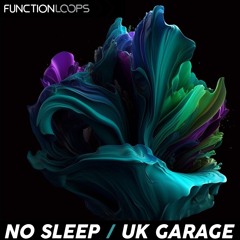 Function Loops - No Sleep - UK Garage