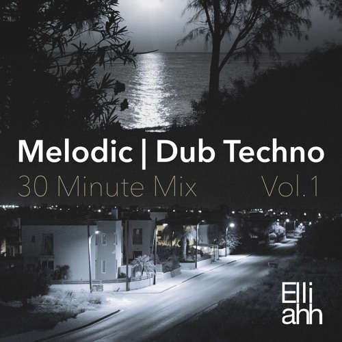 Melodic Dub Techno 30 minute mix vol. 1