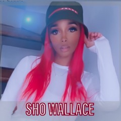 Sho Wallace Mix 🎊
