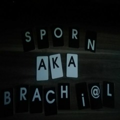 01 - Sporn AKa Brachial 2RAUMWOHNUNG Wir Trafen Uns In Einem HARDTEKK GARTEN Mit HACKE -