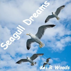 SEAGULL DREAMS