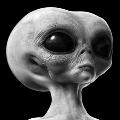 Parrallel Universe