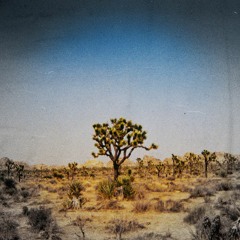 INTRN & Austin Harms - Twentynine Palms