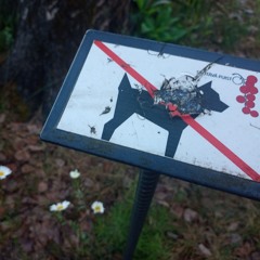 Dogtitle.x