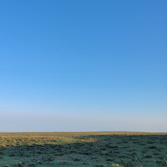 Dawn with Prairie Dogs - Fox Ranch - May 31, 2025