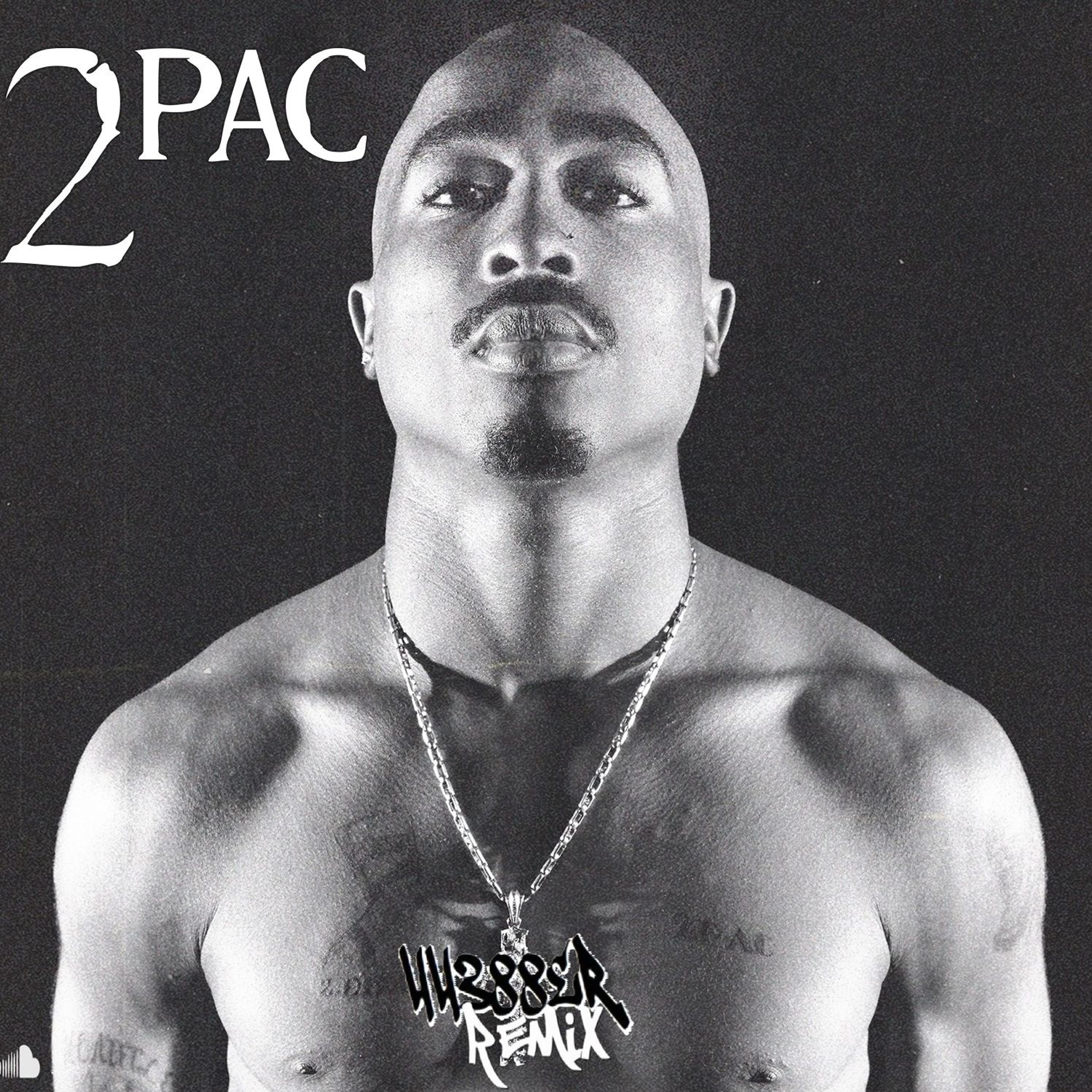 2Pac - Thug Style (44388er Remix)