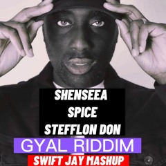Shenseea X Spice X Stefflon Don - Gyal Riddim (Mash Up)