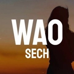 Sech - Wao (Nino Pérez & Luismi Garcia Edit 2021) 🔥FREE🔥