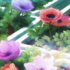 [Slowed] Một Giấc Mộng Xưa Remix Tik Tok | 旧梦一场 (DJ沈念版) - 阿悠悠