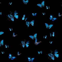 Twenty - Butterflies