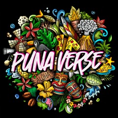 Welcome To The Puna Verse