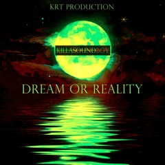 DREAM OR REALITY (Electro Meet Jungle Dub)