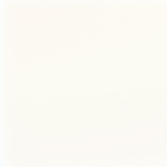 The Blank Canvas