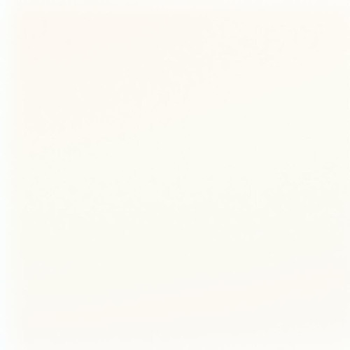 The Blank Canvas