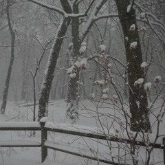 OMORI – Final Duet (Toy Piano ver)