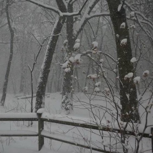 OMORI – Final Duet (Toy Piano ver)