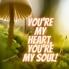 You’re My Heart, You’re My Soul