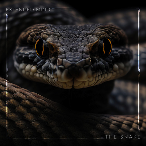 The Snake