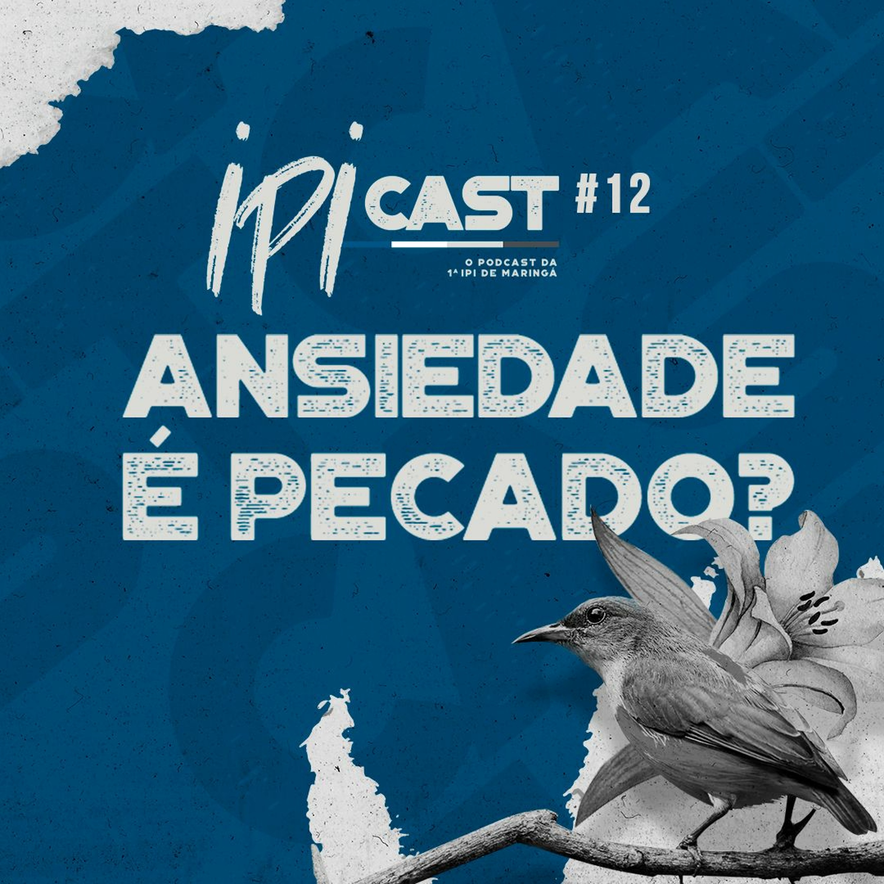 IPIcast