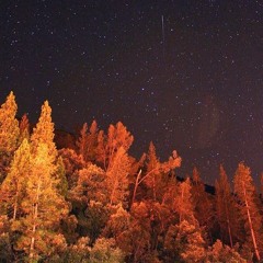 Autumn Antares