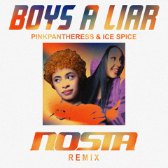 boy's a liar - Pink Pantheress, Ice Spice (NOSTA Remix) FREE DOWNLOAD!!!