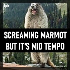 Screaming Marmot But Its Midtempo