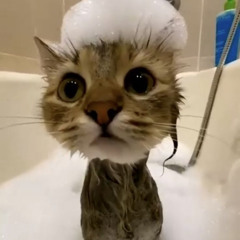watch me