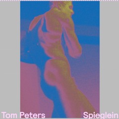 Tom Peters - Spieglein (Biesmans Remix)