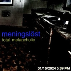 Meningslöst (davidcrypt)