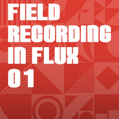 Field Recording In Flux 01
