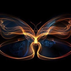 RAA - Safari The Butterfly Experience, Pre-party, Gapahuktechno